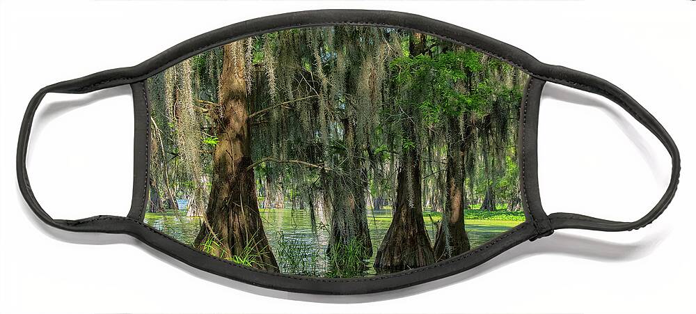 America Face Mask featuring the photograph Bald cypresses, Lake Martin, Louisiana by Patricia Hofmeester