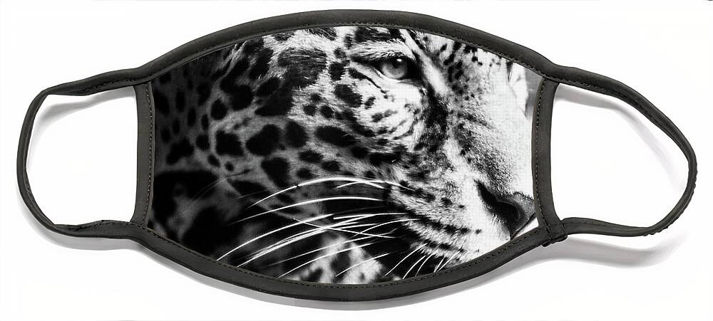 Cheetah Face Mask featuring the photograph Cheetah #1 by Michelle Wittensoldner