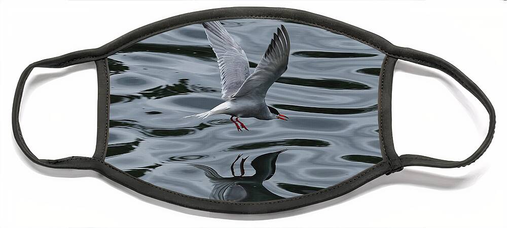 Common Tern Face Mask featuring the photograph Common Tern #1 by Jeff Townsend