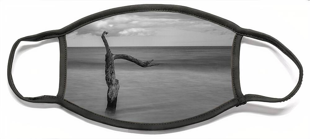 Black Face Mask featuring the photograph Driftwood Beach in Black and White #2 by Carolyn Hutchins