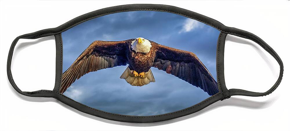 Eagle Face Mask featuring the photograph Eagles Soar #2 by David Wagenblatt