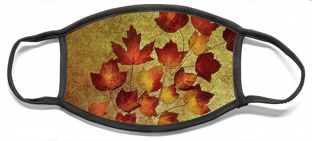 Fall Leaves Face Mask featuring the photograph Fall Leaves 2 #1 by Rebecca Cozart