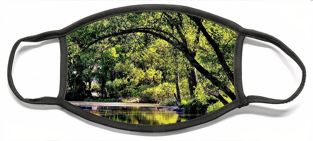 Lake Winona Face Mask featuring the photograph Happy Place #1 by Susie Loechler