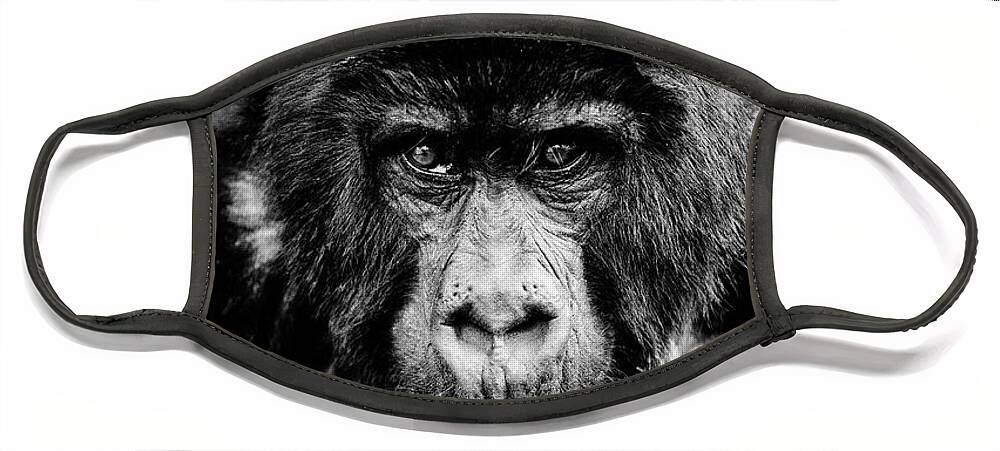 Gorilla Face Mask featuring the photograph Hello Brother #1 by Stefan Knauer