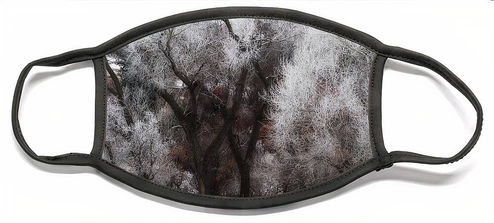 Co Face Mask featuring the photograph Hoar Frost #2 by Doug Wittrock