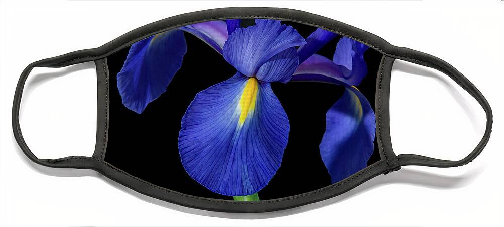 Irises Face Mask featuring the photograph Iris, 1 #1 by Glenn Franco Simmons