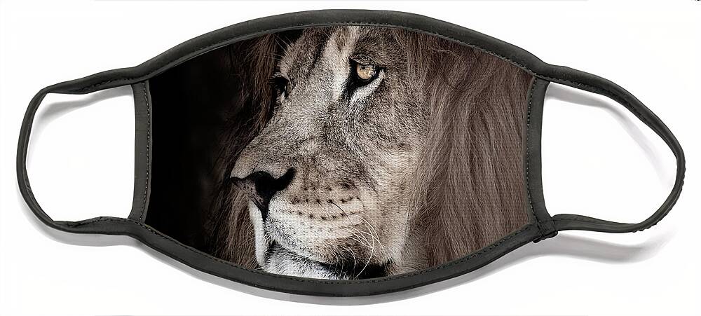Lion Face Mask featuring the photograph It's All in the Eyes #1 by Rose Guinther