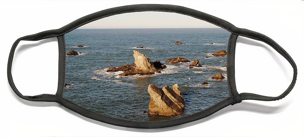 Coast Face Mask featuring the photograph Looking West #1 by Steven Wills