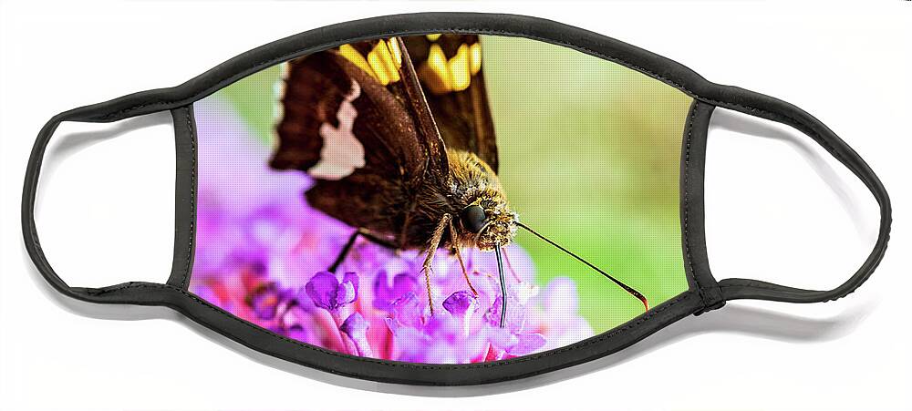 Plants Face Mask featuring the photograph Macro Photography - Butterfly #1 by Amelia Pearn