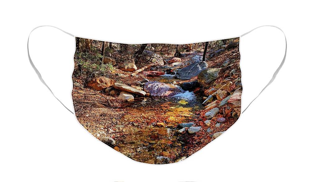 Hiking Face Mask featuring the photograph Madera Canyon Stream #1 by Jerry Abbott