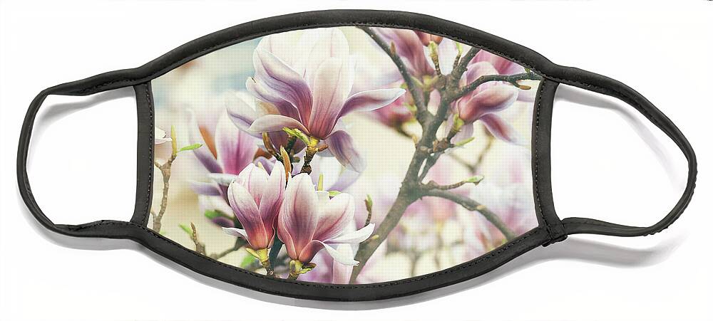 Magnolia Face Mask featuring the photograph Magnolia Flower #1 by Jelena Jovanovic