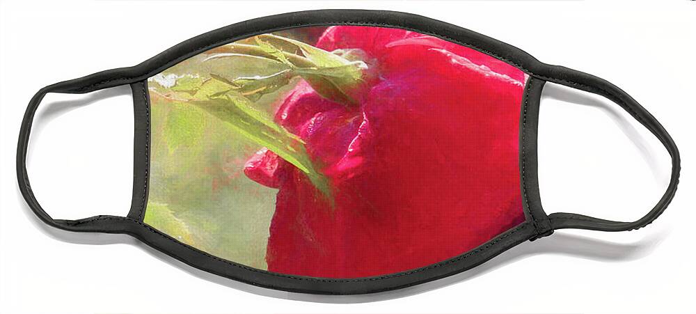 Rose Face Mask featuring the photograph Misty Rose Reflections by Elaine Teague