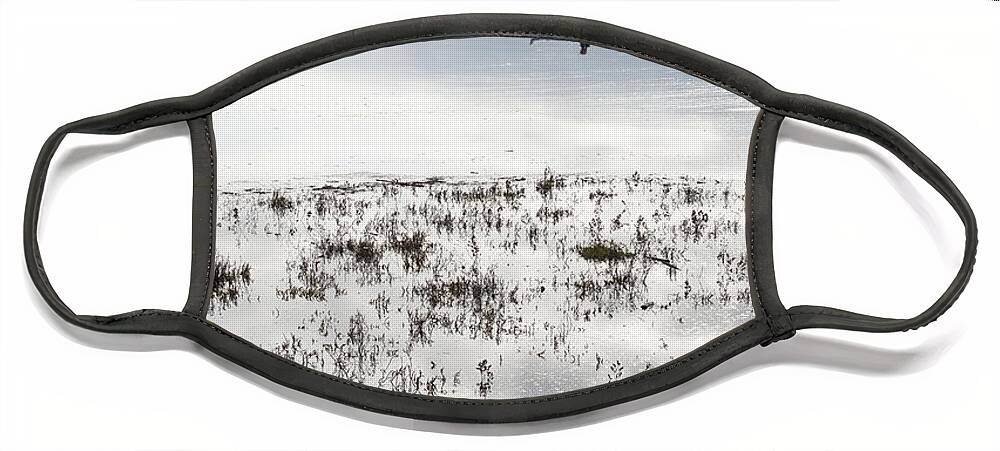  Face Mask featuring the photograph Morro Bay Estuary #1 by Lars Mikkelsen