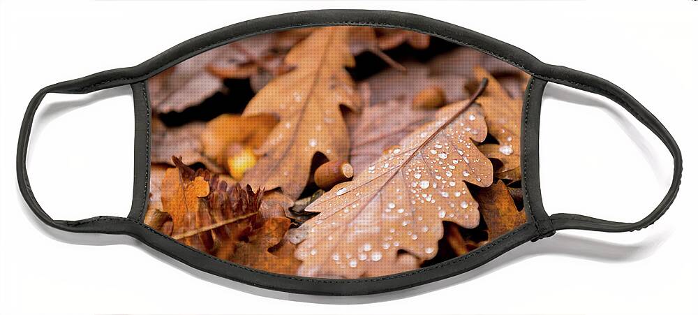 Fall Face Mask featuring the photograph Oak Leaves and rain drops by Anita Nicholson