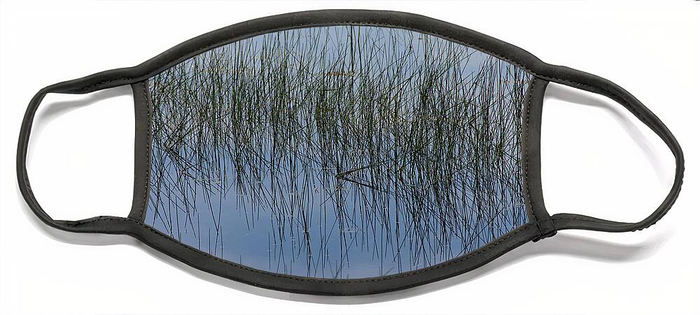 Pond Face Mask featuring the photograph Pond Reflections by Kae Cheatham