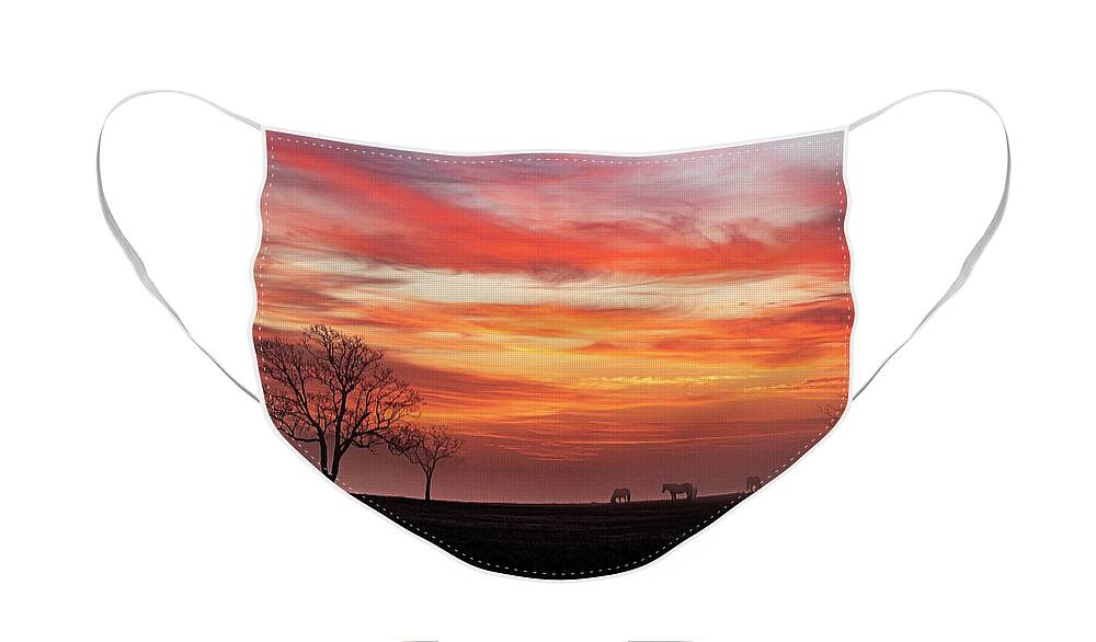 Sunrise Face Mask featuring the photograph Red Sky Sunrise #1 by Jerry Connally
