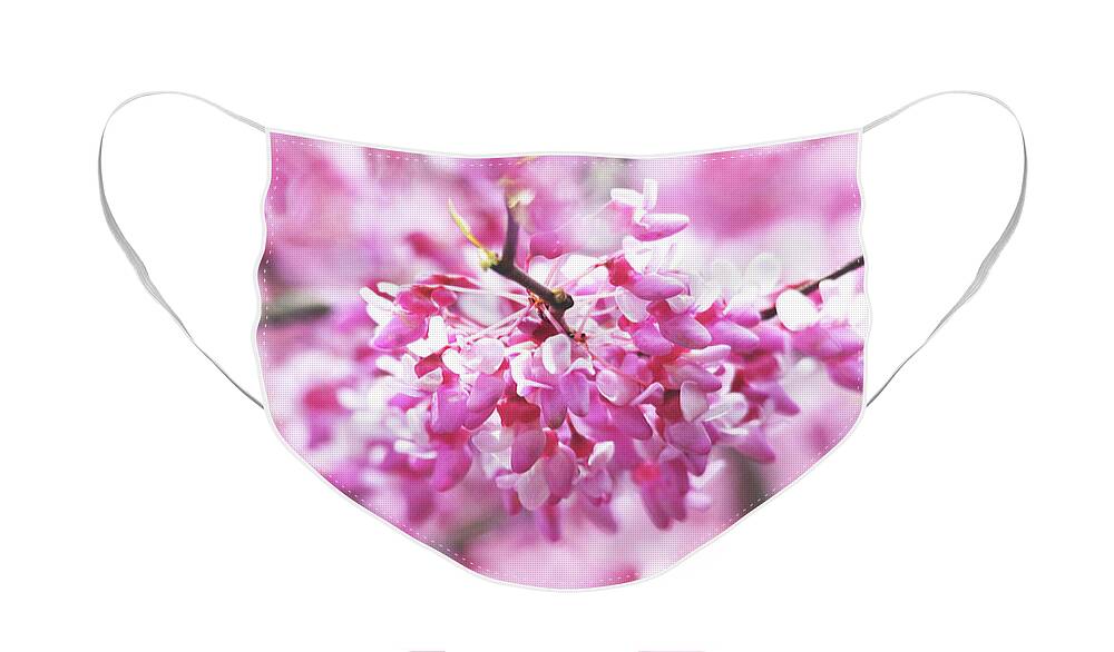 Flowers Face Mask featuring the photograph Redbud Blossoms #2 by Trina Ansel