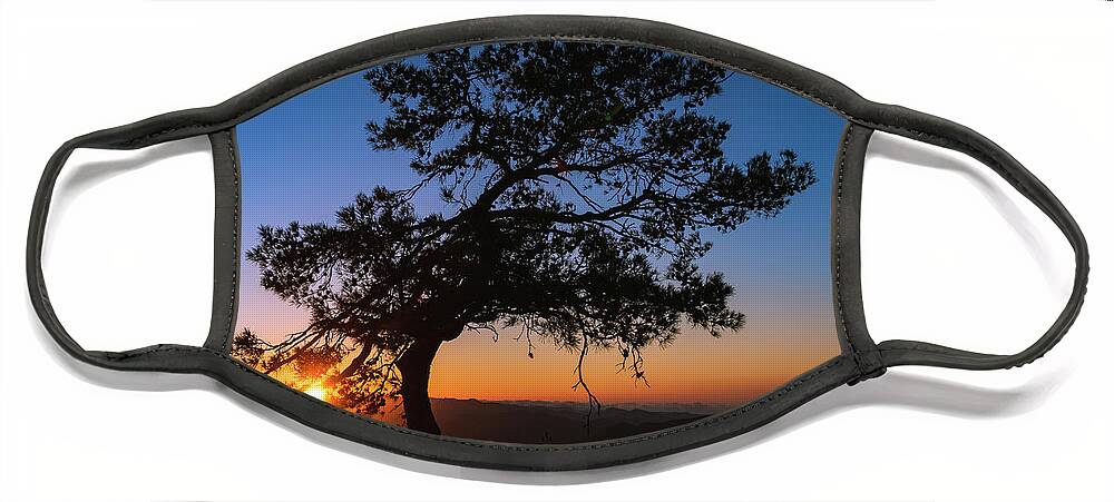 Cyprus Face Mask featuring the photograph Silhouette of a forest pine tree during blue hour with bright sun at sunset. by Michalakis Ppalis