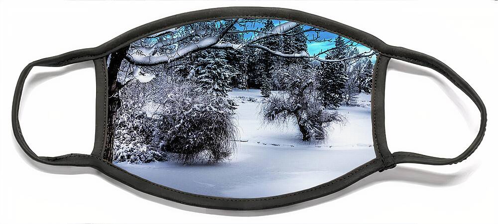 Snow Covered Pond Face Mask featuring the photograph Snow Covered Pond #1 by David Patterson