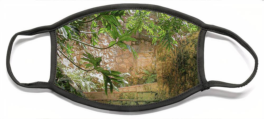 Chichen Itza Face Mask featuring the photograph Steps near cenote - Chichen Itza by Frank Mari