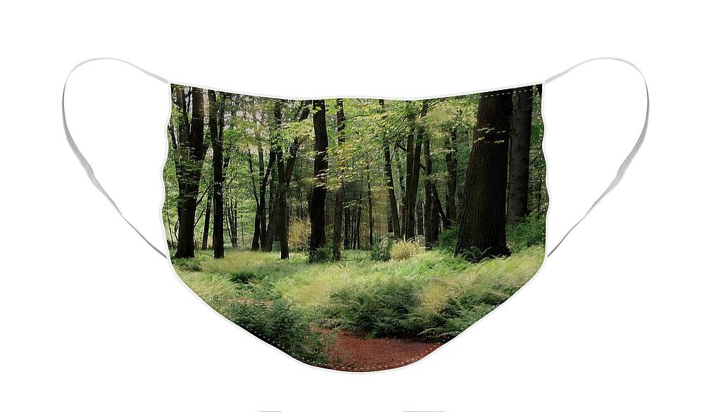 Woods Face Mask featuring the photograph Through the Woods #2 by Angela Davies