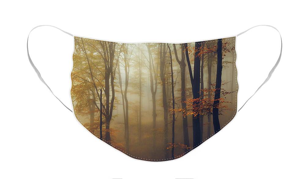 Balkan Mountains Face Mask featuring the photograph Trees in the Mist #1 by Evgeni Dinev