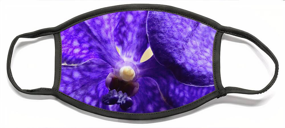 China Face Mask featuring the photograph Vanda Orchid Portrait II by Tanya Owens