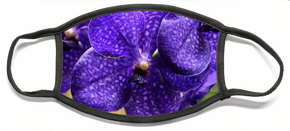 China Face Mask featuring the photograph Vanda Orchid by Tanya Owens