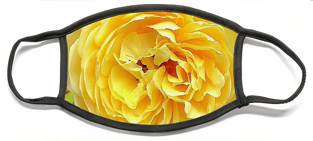 Rose Face Mask featuring the photograph Yellow Rose #1 by Gordon James