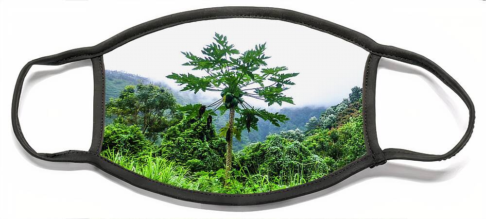 Hawaii Pictures Face Mask featuring the photograph Hawaii Scenic Photography 20150717-1292 by Rowan Lyford
