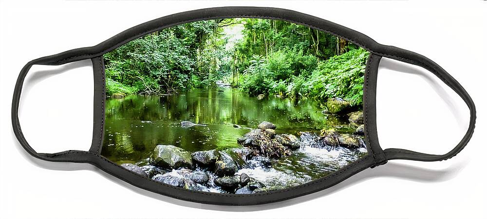 Tropical Forest Pictures Face Mask featuring the photograph Hawaii Scenic Photography 20150717-1293 by Rowan Lyford