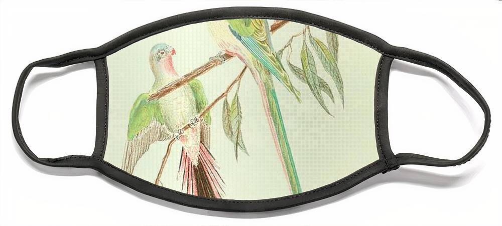 Parrot Face Mask featuring the mixed media Beautiful Vintage Parrot #159 by World Art Collective