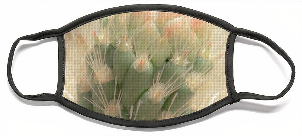 Cactus Face Mask featuring the photograph 1630 Watercolor Cactus Blossom by Kenneth Johnson