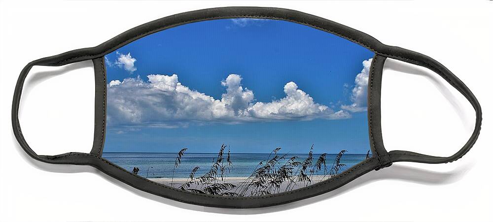  Face Mask featuring the photograph Naples Beach by Donn Ingemie