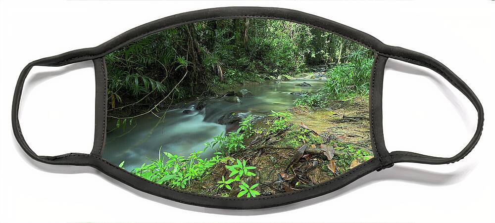 Sunshine-coast Face Mask featuring the photograph 1904buderim1 by Nicolas Lombard