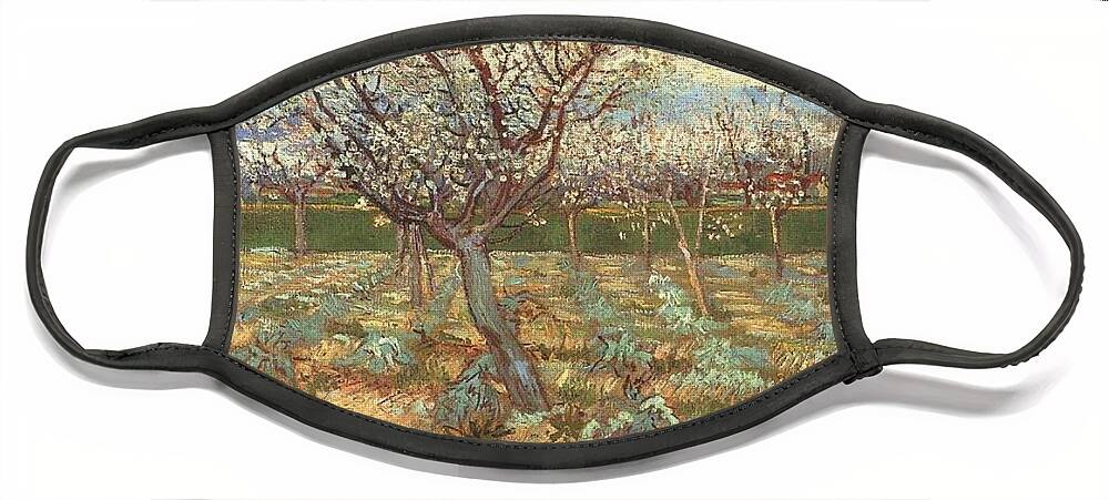 Vincent Face Mask featuring the painting Apricot Trees In Blossom - VVG by The GYPSY and Mad Hatter