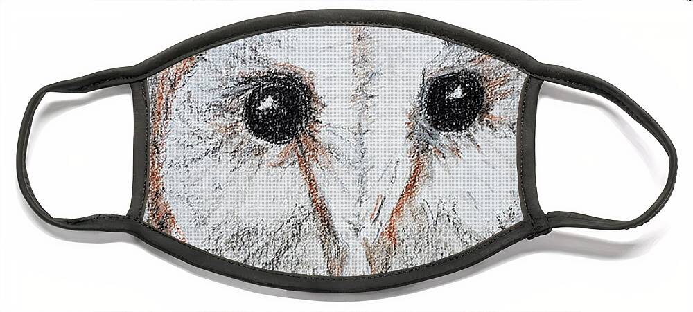 Barn Owl Face Mask featuring the drawing Barn Owl #2 by Mary Capriole