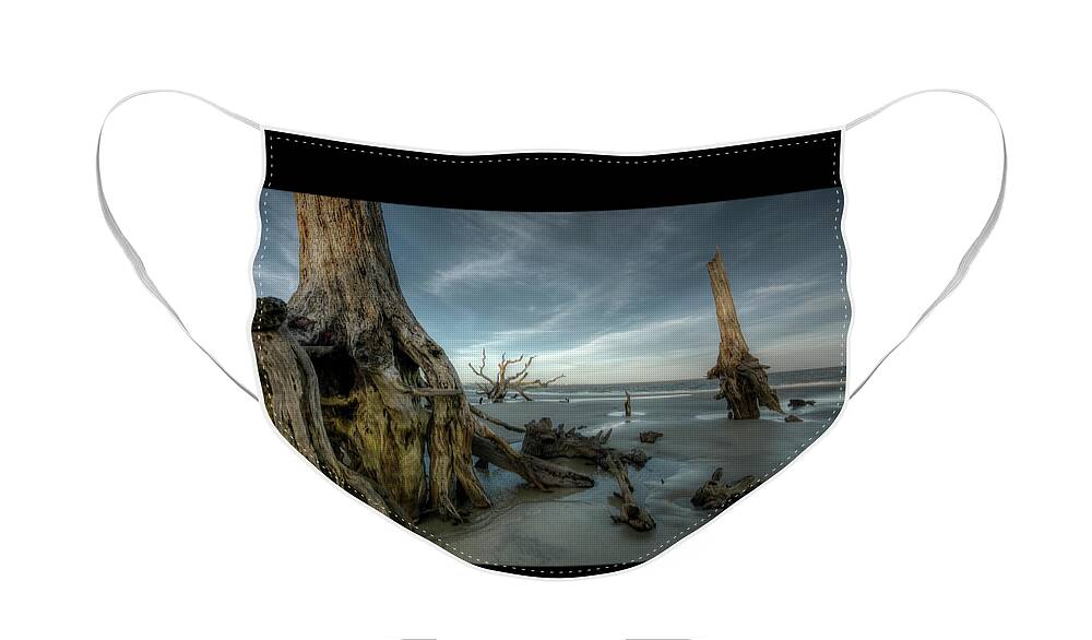 Beach Face Mask featuring the photograph Driftwood Beach #6 by Carolyn Hutchins