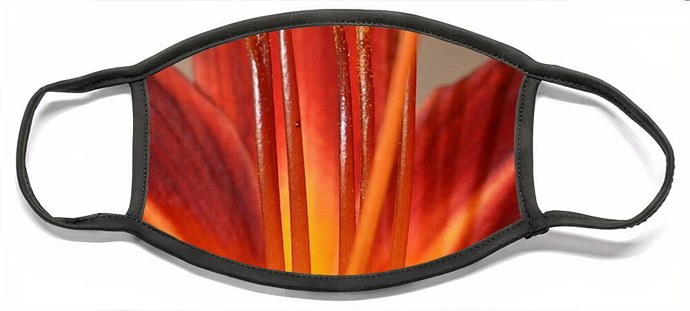 Lily Face Mask featuring the photograph Fire Lily 2 by Amy Fose