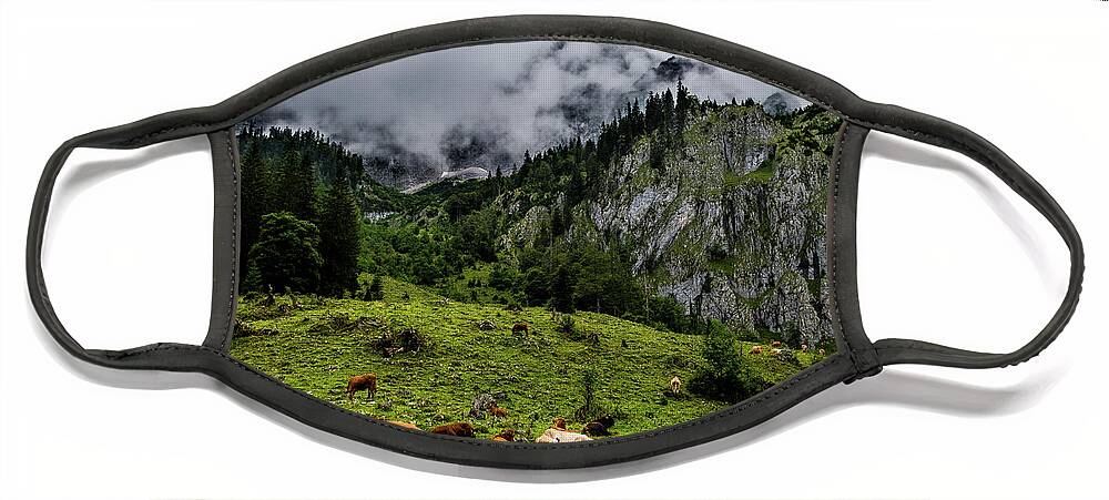 Austria Face Mask featuring the photograph Herd Of Cows In National Park Gesaeuse In The Ennstaler Alps In Austria #2 by Andreas Berthold