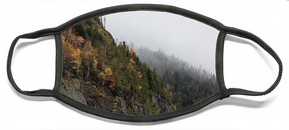 Lake Placid Face Mask featuring the photograph Hill Side in the Adirondacks #2 by Dave Niedbala