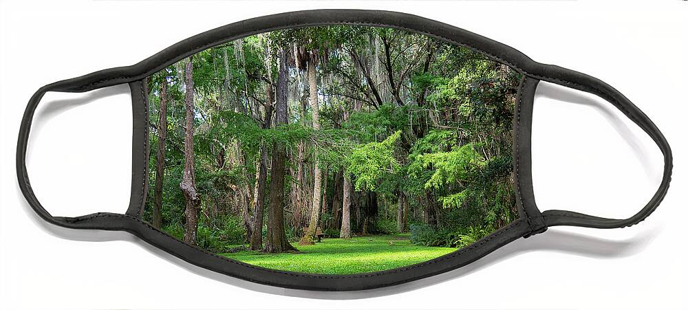 Woods Face Mask featuring the photograph Lake Istokpoga Park by Dart Humeston