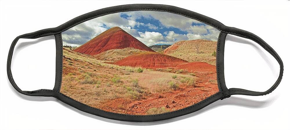 Painted Hills Face Mask featuring the photograph Painted Hills #2 by Gary Wing