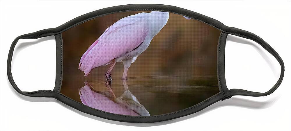 (platalea Ajaja) Face Mask featuring the photograph Roseate Spoonbill #2 by James Capo