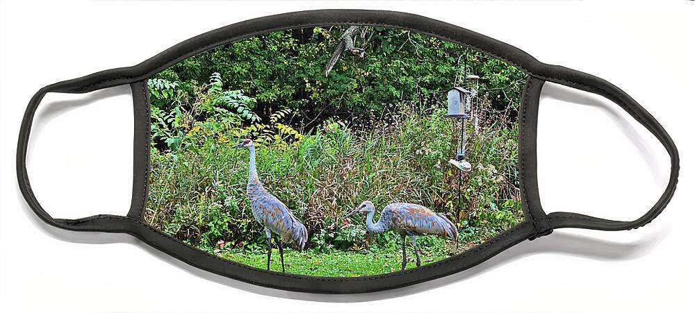 Sandhill Cranes Face Mask featuring the photograph 2021 Fall Sandhill Cranes 3 by Janis Senungetuk