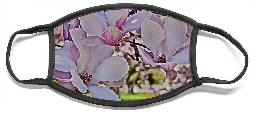 Magnolia Face Mask featuring the photograph 2022 Vernon Magnolia 1 by Janis Senungetuk