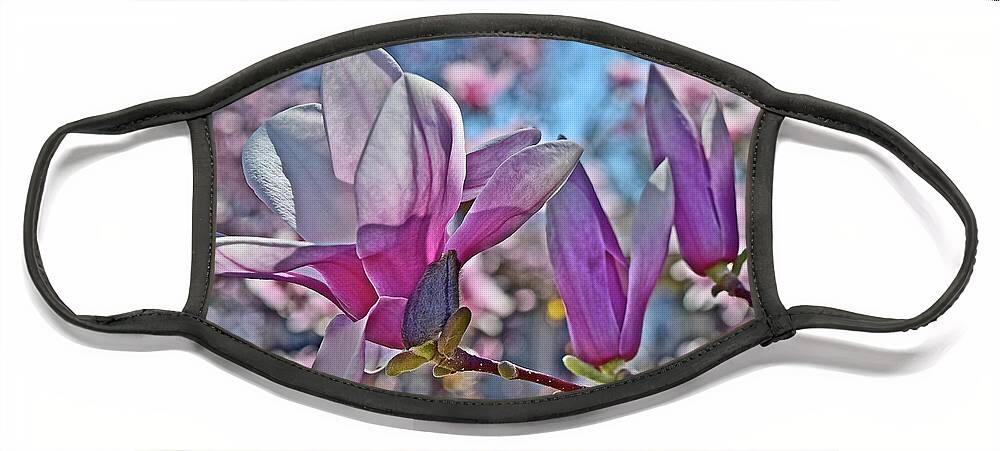 Magnolia Face Mask featuring the photograph 2022 Vernon Magnolia Neighbor 2 by Janis Senungetuk