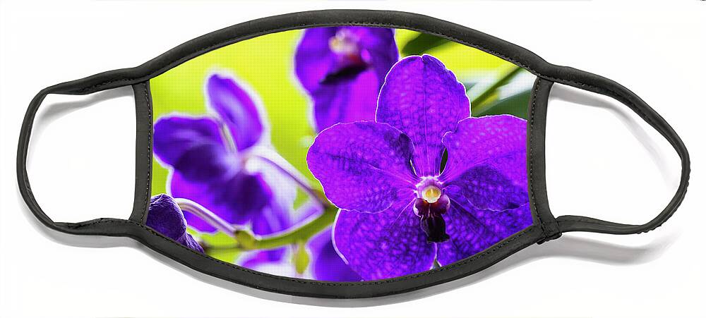 Background Face Mask featuring the photograph Purple Orchid Flowers #27 by Raul Rodriguez