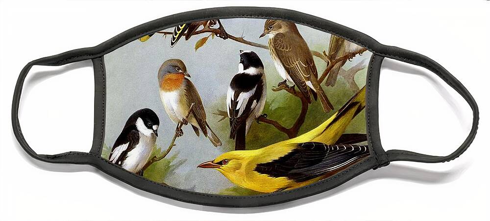 Birds Face Mask featuring the mixed media Birds By Archibald Thorburn #3 by World Art Collective