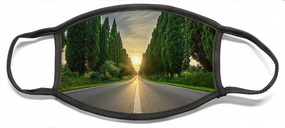 Bolgheri Face Mask featuring the photograph Bolgheri Boulevard and the Sun by Stefano Orazzini
